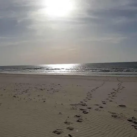 4season-oase * 朱丽安娜多普